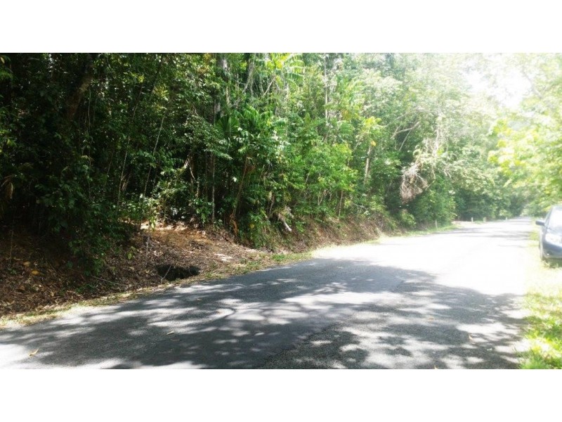 8 Buchanan Creek Rd, Daintree QLD 4873