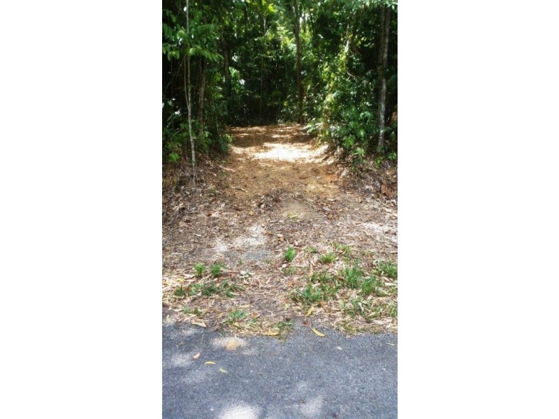 8 Buchanan Creek Rd, Daintree QLD 4873