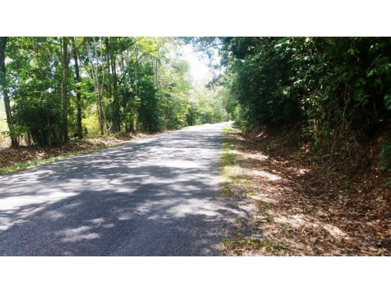 8 Buchanan Creek Rd, Daintree QLD 4873