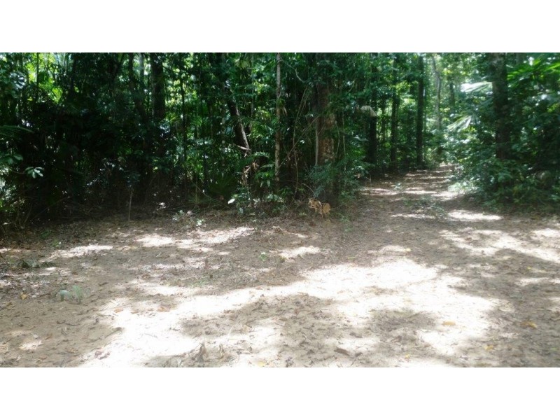 8 Buchanan Creek Rd, Daintree QLD 4873