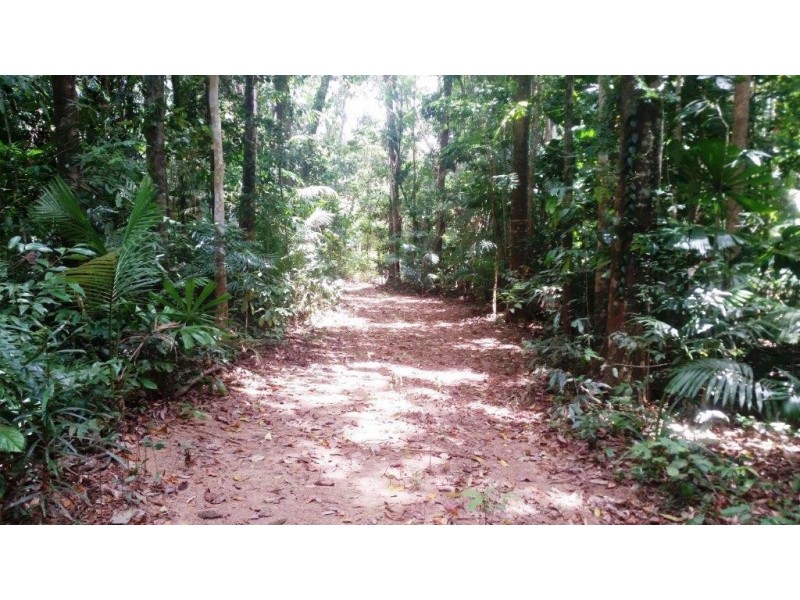 8 Buchanan Creek Rd, Daintree QLD 4873