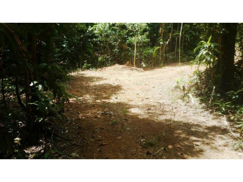 8 Buchanan Creek Rd, Daintree QLD 4873