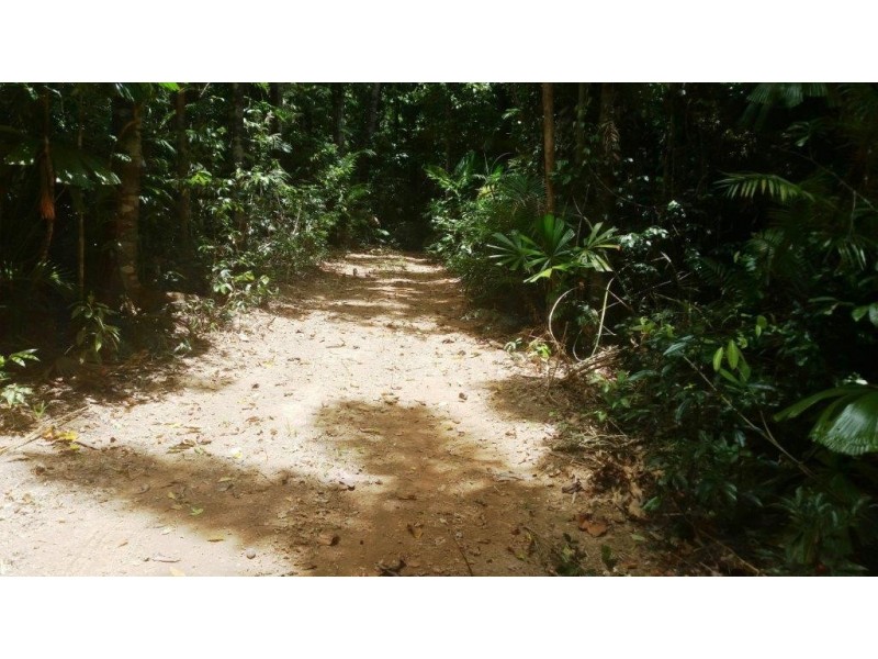 8 Buchanan Creek Rd, Daintree QLD 4873