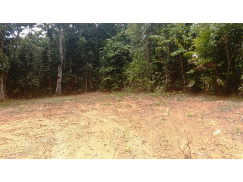 8 Buchanan Creek Rd, Daintree QLD 4873