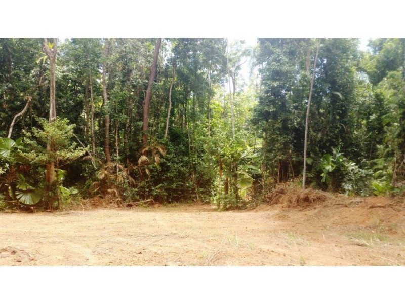 8 Buchanan Creek Rd, Daintree QLD 4873