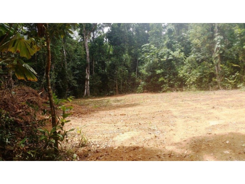8 Buchanan Creek Rd, Daintree QLD 4873