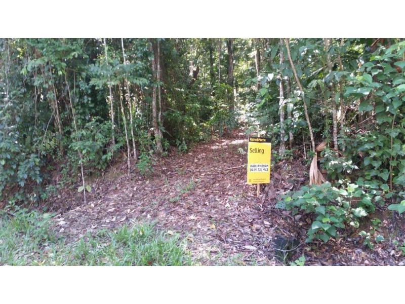 8 Buchanan Creek Rd, Daintree QLD 4873