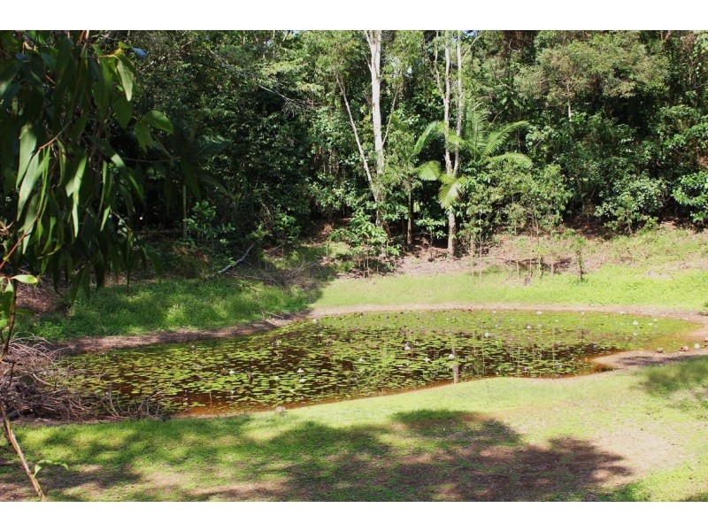 39 CAPE TRIBULATION RD KIMBERLEY, Daintree QLD 4873