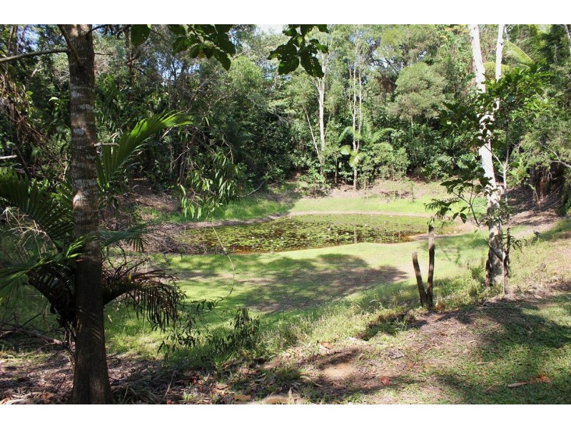 39 CAPE TRIBULATION RD KIMBERLEY, Daintree QLD 4873