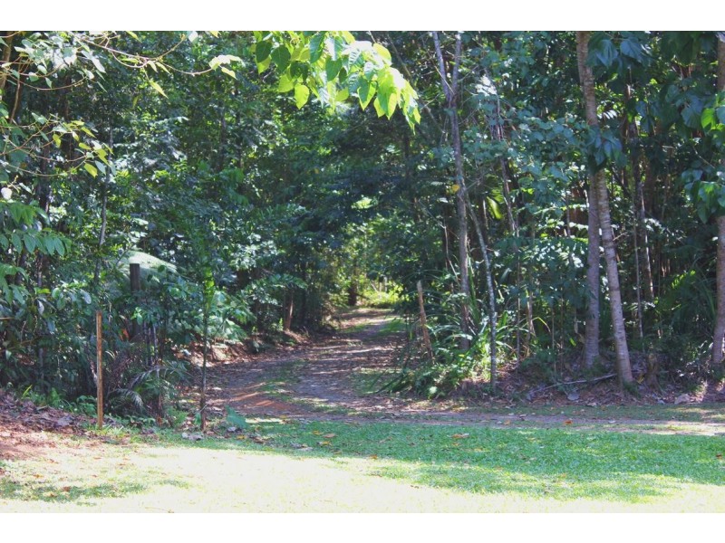 39 CAPE TRIBULATION RD KIMBERLEY, Daintree QLD 4873
