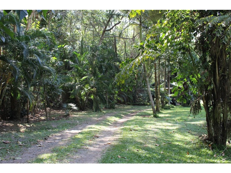 39 CAPE TRIBULATION RD KIMBERLEY, Daintree QLD 4873