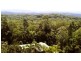 97 George Road, Daintree QLD 4873