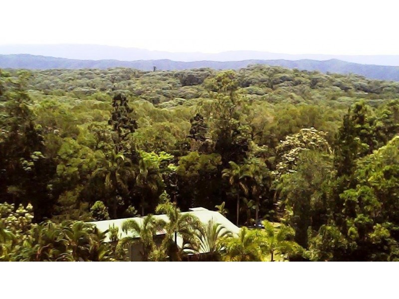 97 George Road, Daintree QLD 4873