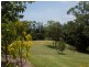 97 George Road, Daintree QLD 4873