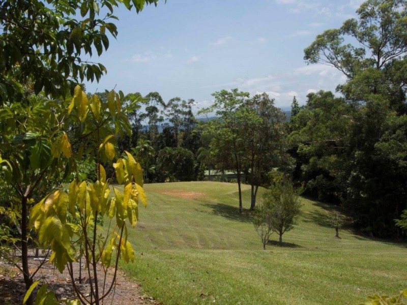 97 George Road, Daintree QLD 4873
