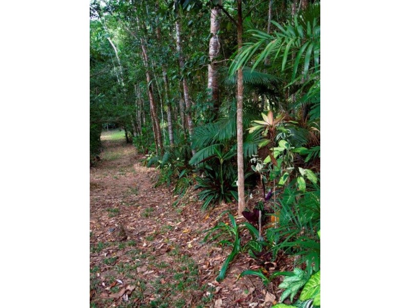 97 George Road, Daintree QLD 4873