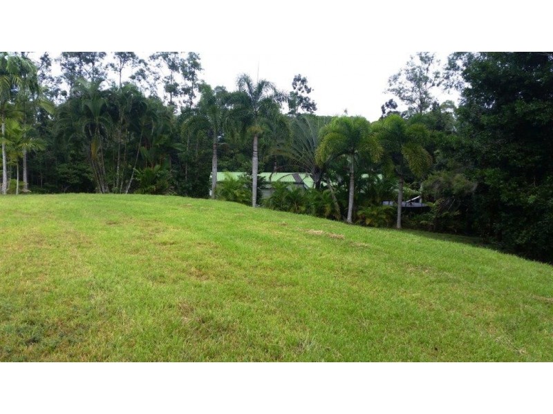 97 George Road, Daintree QLD 4873