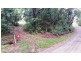 97 George Road, Daintree QLD 4873
