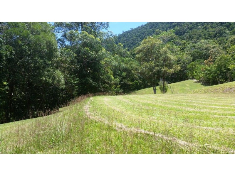97 George Road, Daintree QLD 4873