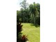 97 George Road, Daintree QLD 4873