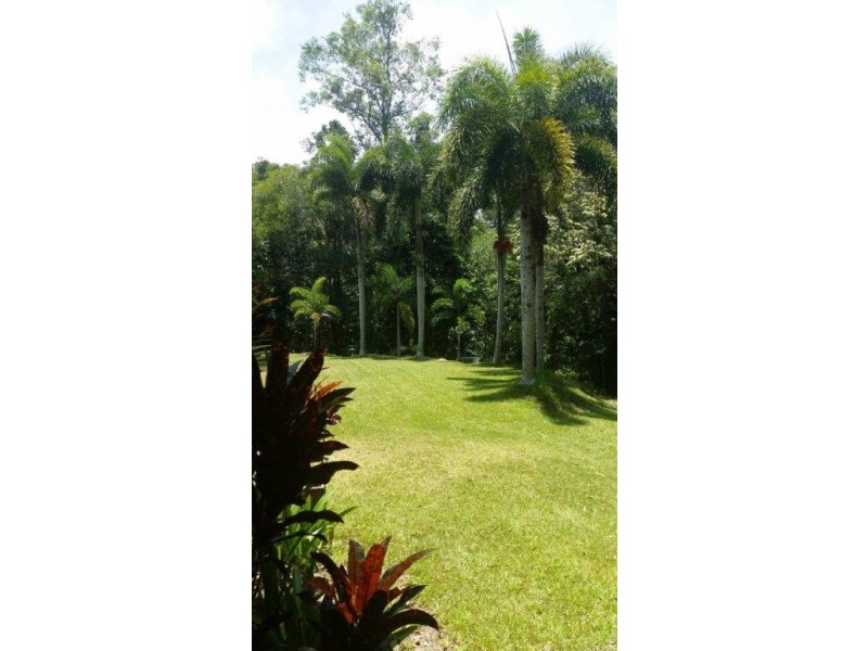 97 George Road, Daintree QLD 4873