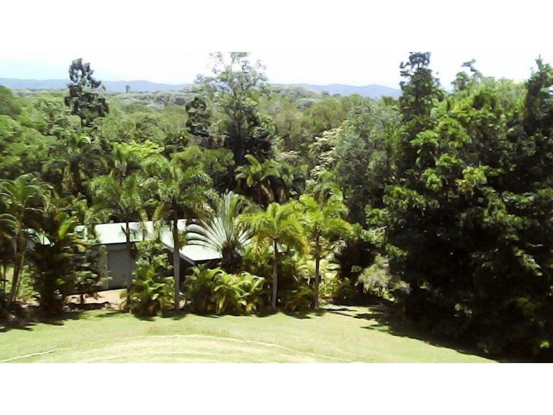 97 George Road, Daintree QLD 4873