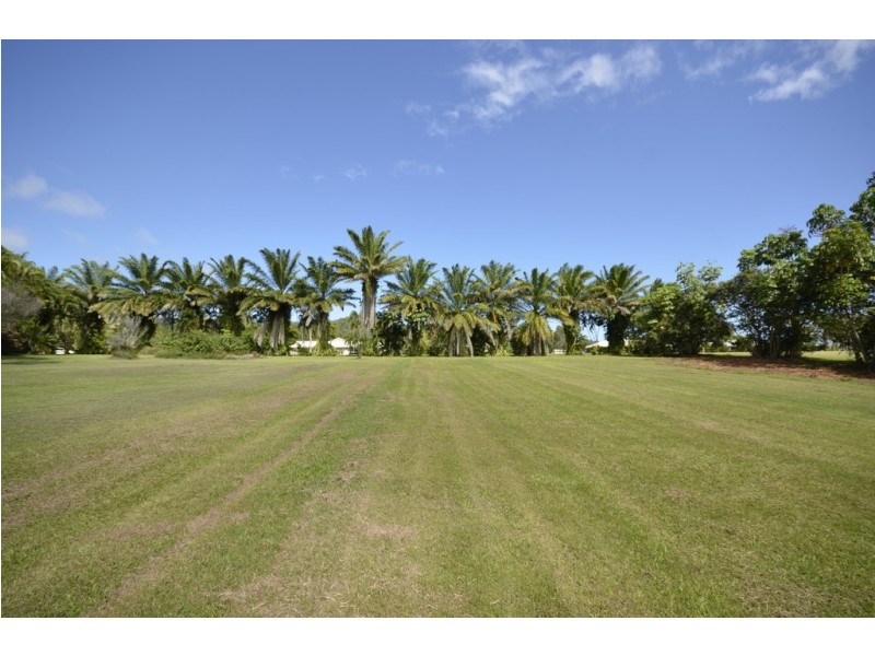 261 Bamboo Creek Road, Miallo QLD 4873