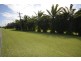 261 Bamboo Creek Road, Miallo QLD 4873