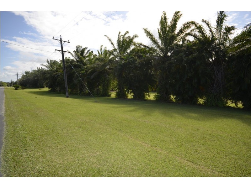 261 Bamboo Creek Road, Miallo QLD 4873