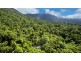 71 Candlenut Road, Daintree QLD 4873
