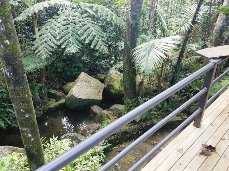 71 Candlenut Road, Daintree QLD 4873