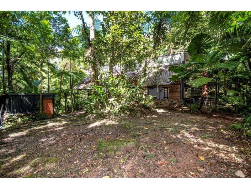 71 Candlenut Road, Daintree QLD 4873