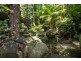 71 Candlenut Road, Daintree QLD 4873