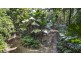 71 Candlenut Road, Daintree QLD 4873