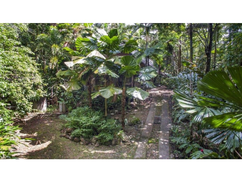 71 Candlenut Road, Daintree QLD 4873