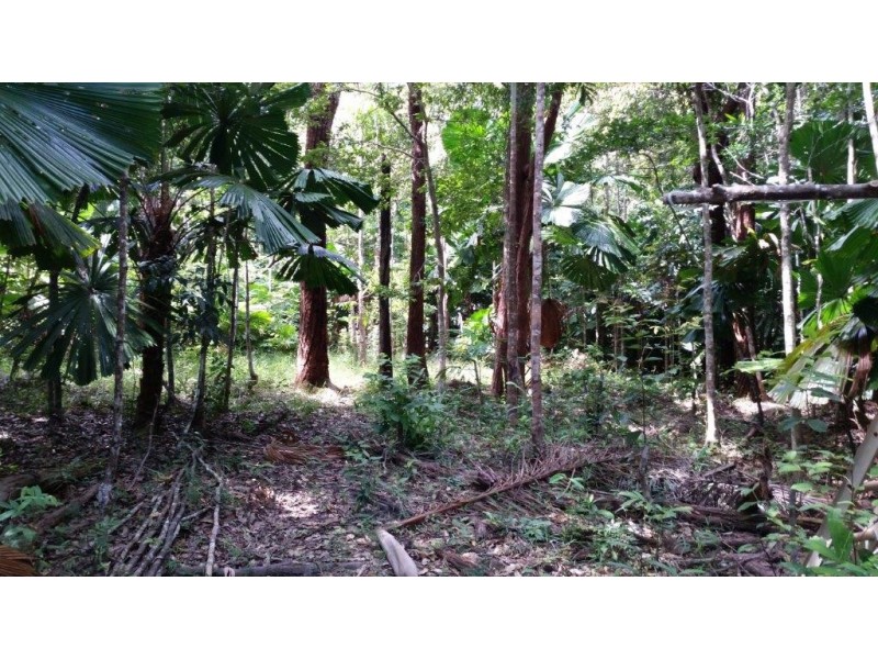 147 Wattle Close Cow Bay, Daintree QLD 4873