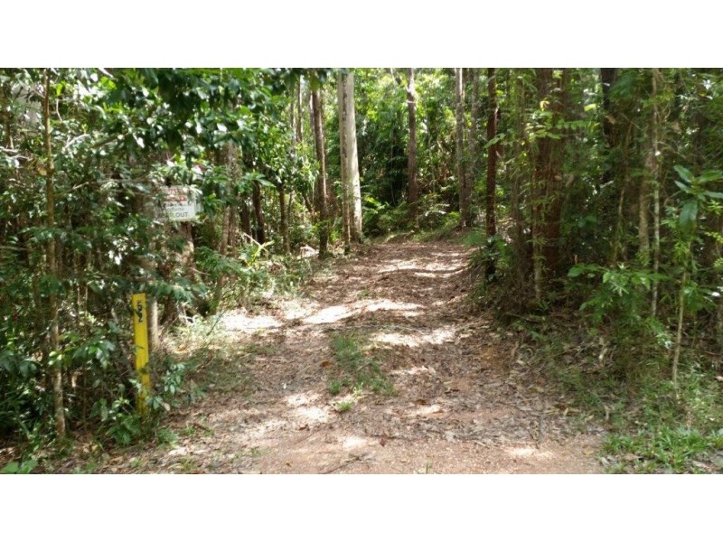 147 Wattle Close Cow Bay, Daintree QLD 4873