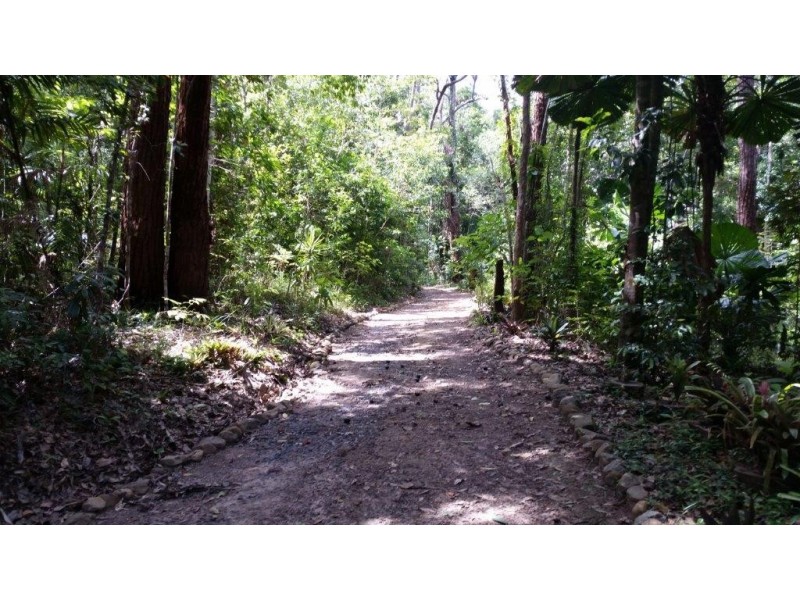 147 Wattle Close Cow Bay, Daintree QLD 4873