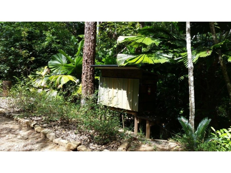 147 Wattle Close Cow Bay, Daintree QLD 4873