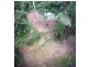 241 White Beech Road, Daintree QLD 4873