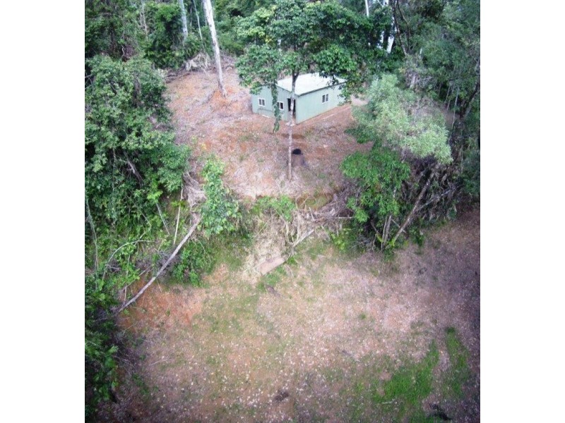 241 White Beech Road, Daintree QLD 4873