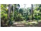 241 White Beech Road, Daintree QLD 4873