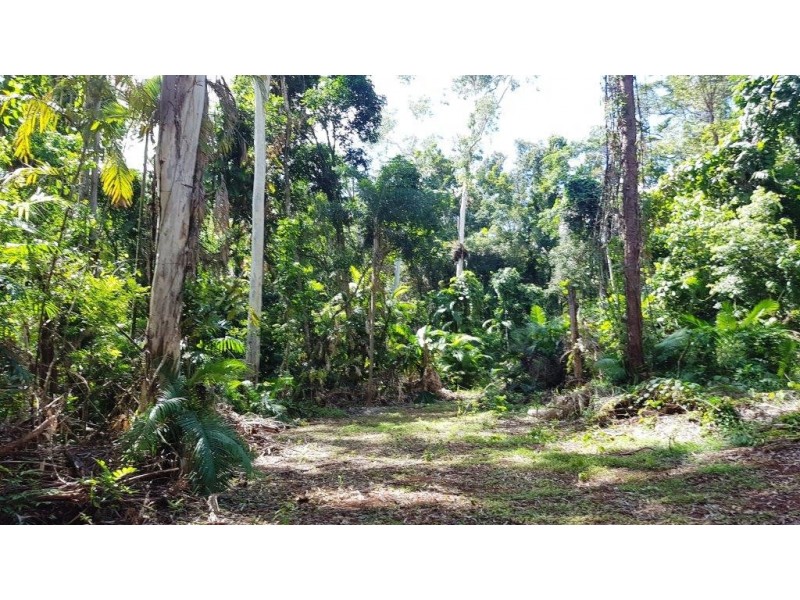241 White Beech Road, Daintree QLD 4873