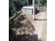 241 White Beech Road, Daintree QLD 4873