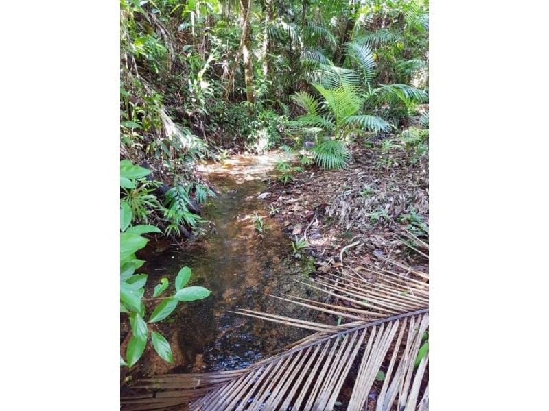241 White Beech Road, Daintree QLD 4873