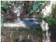 241 White Beech Road, Daintree QLD 4873
