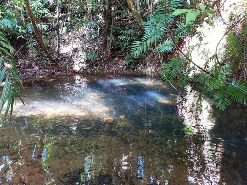 241 White Beech Road, Daintree QLD 4873