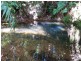241 White Beech Road, Daintree QLD 4873