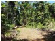 241 White Beech Road, Daintree QLD 4873