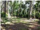 241 White Beech Road, Daintree QLD 4873